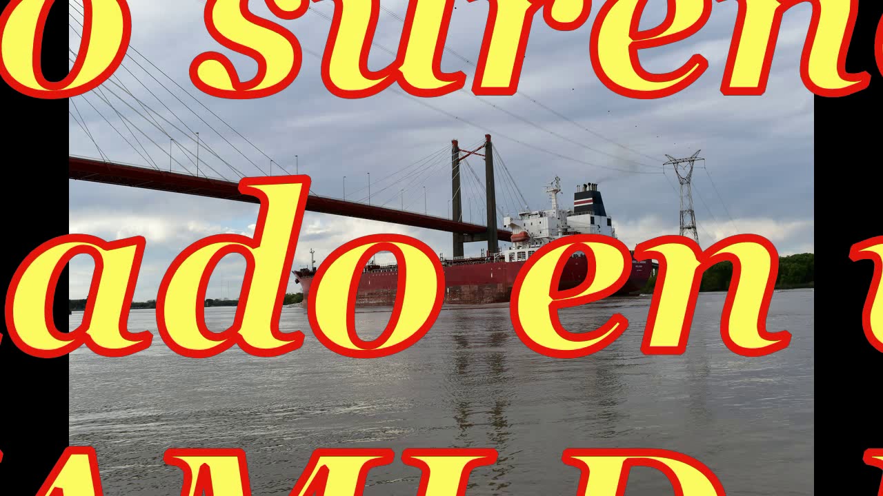 fiestero sureño 2019 animado
