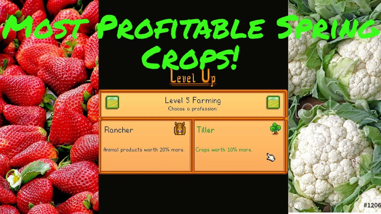 5 Min Tips: Stardew Valley Profitable Spring Crops to Plant | Starter Tips|