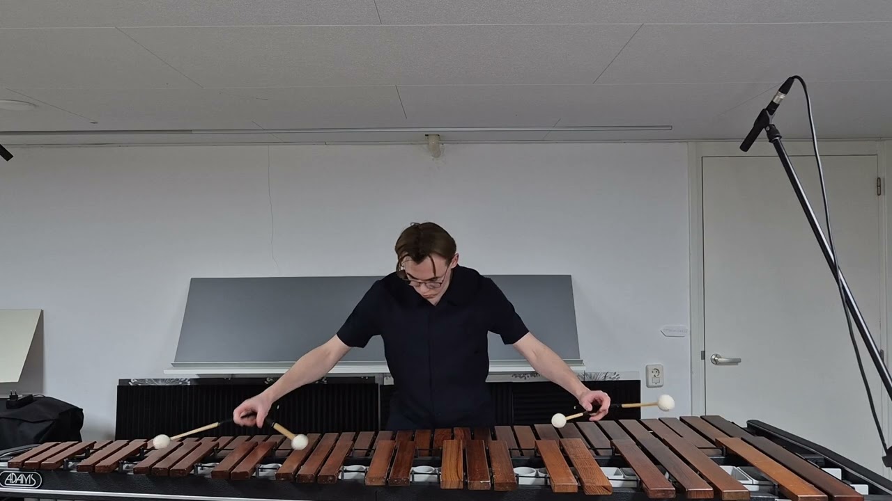 Vermillion Bird by Heng Liu - Marimba solo by Remco Arets
