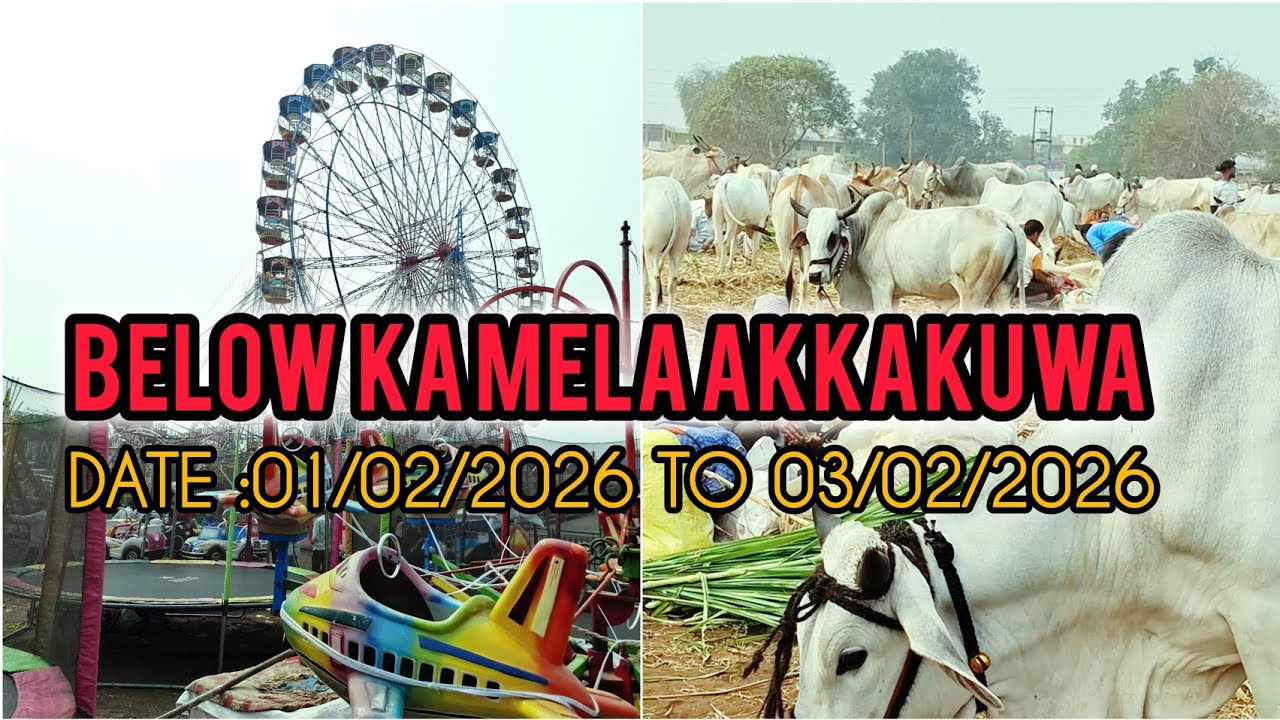 बेलों का मेला अक्ककुवा 2026#below ka Mela 2026 Now# youtube vlog video