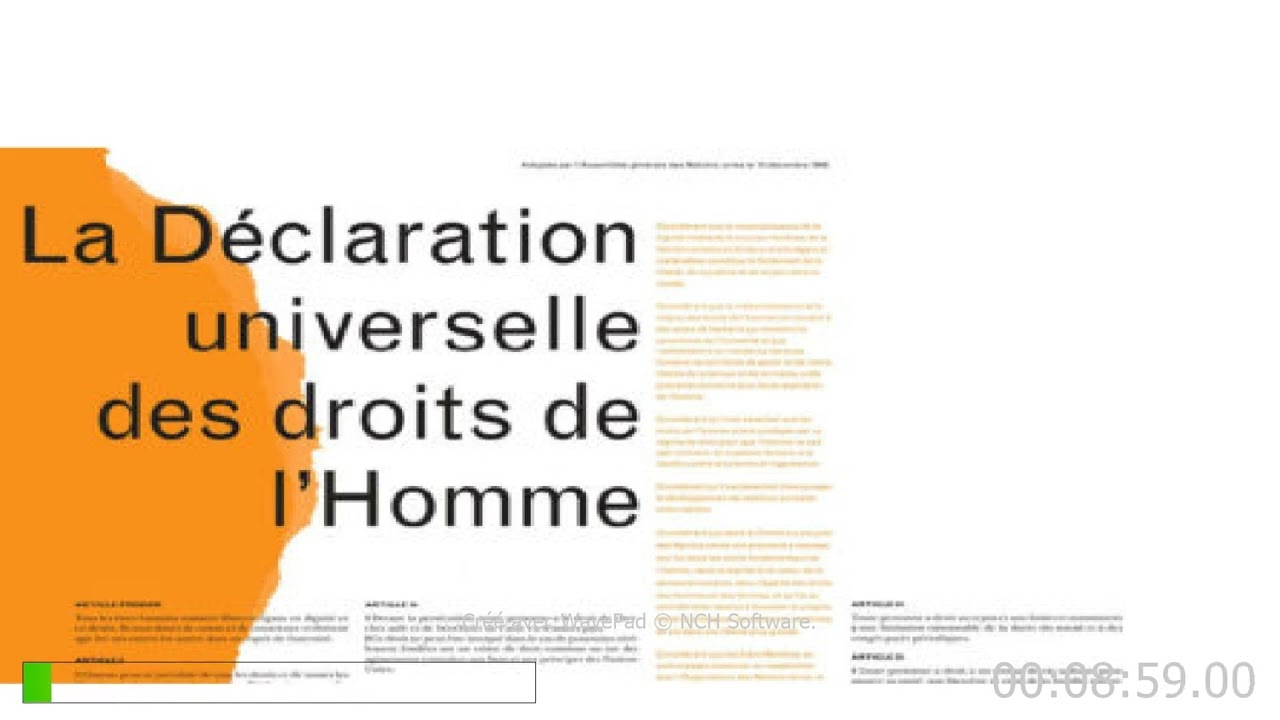 [ Article de loi ] Déclaration universelle des droits de l'Homme