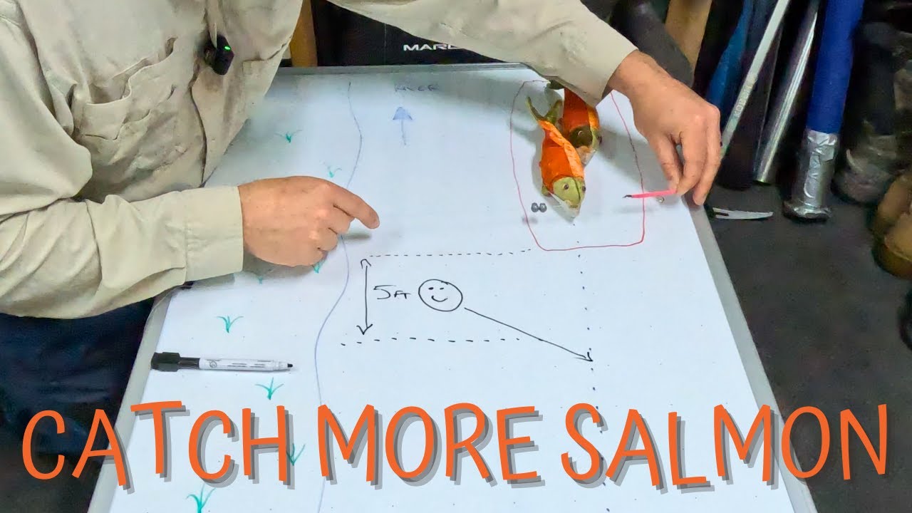 How to Floss Salmon: The Kenai and Russian River Guide