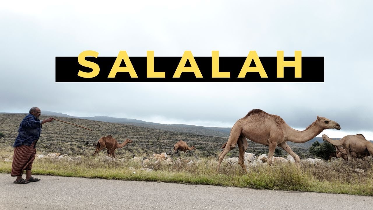 Salalah jak z BAJKI! Co MUSISZ zobaczyć w Omanie? 🌴✨