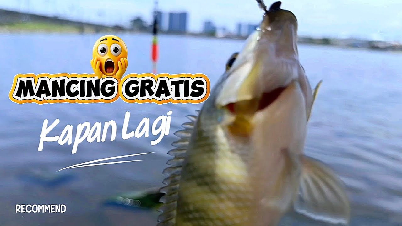 Mancing Gratis SeGacor ini..!! Dimana., 