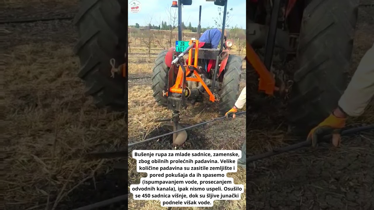 Bu&scaron;enje rupa za zamenske sadnice @visnjabanata  #vocarstvo #novibecej #sadnja #sljiva #visnja
