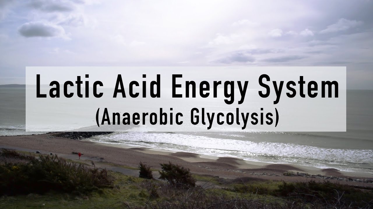 Lactic Acid Energy System