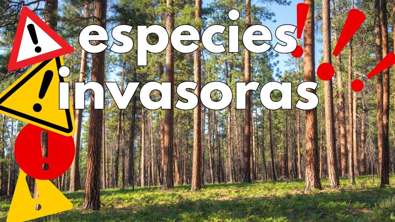 Existen las especies invasoras?(lo que nadie te cuenta)