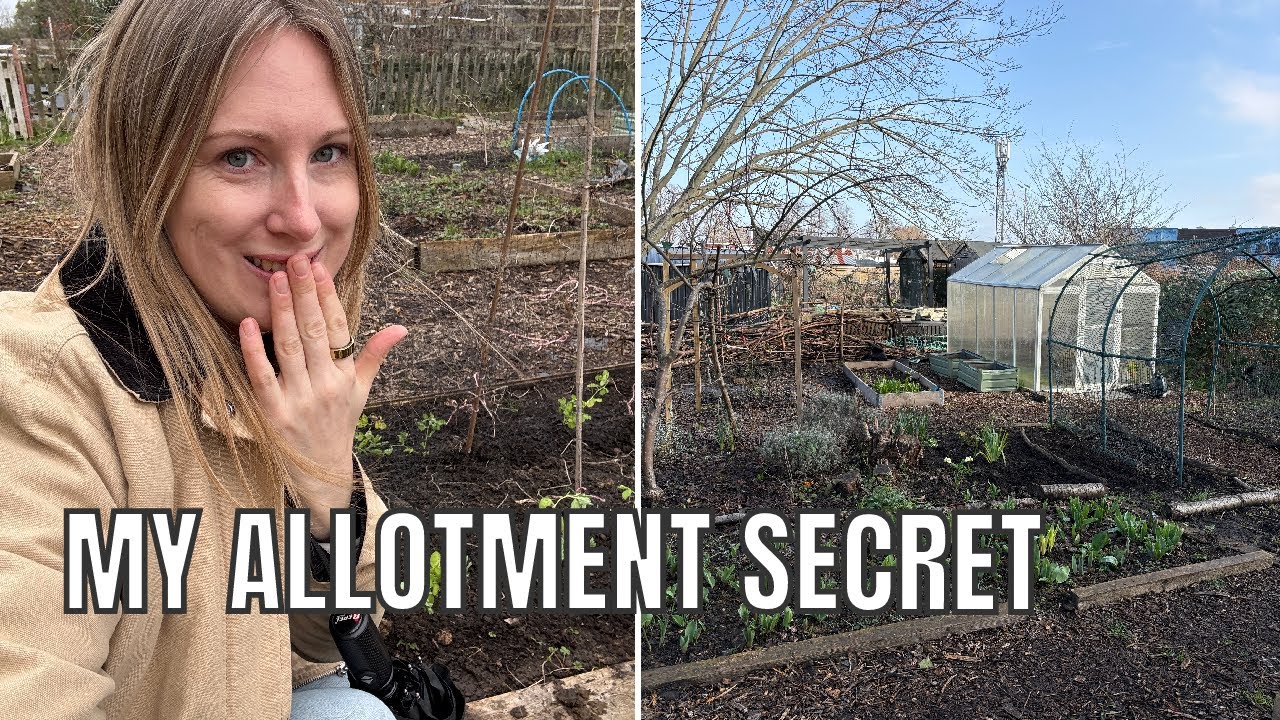 MY DIRTY ALLOTMENT SECRET / ALLOTMENT GARDENING UK