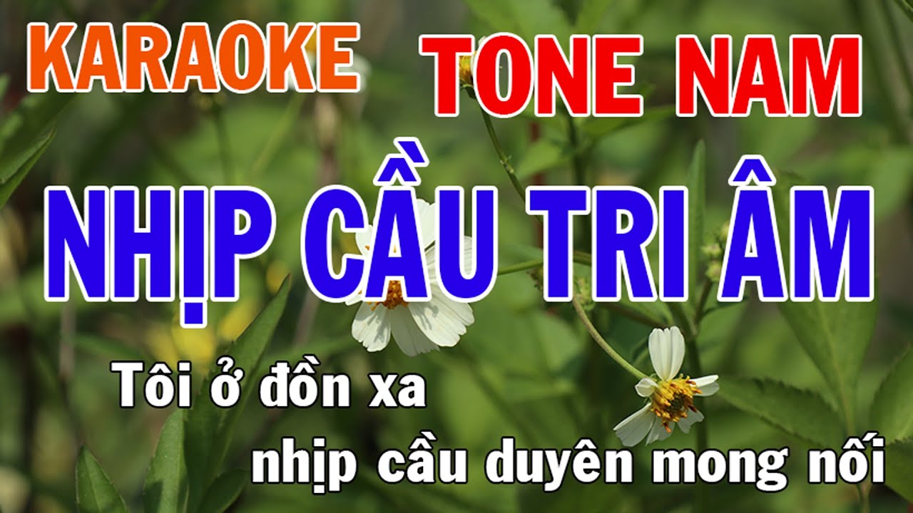 Nhịp Cầu Tri Âm Karaoke Tone Nam Nhạc Sống - Phối Mới Dễ Hát - Nhật Nguyễn