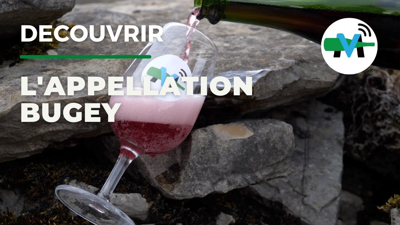 À la découverte du vignoble de Bugey