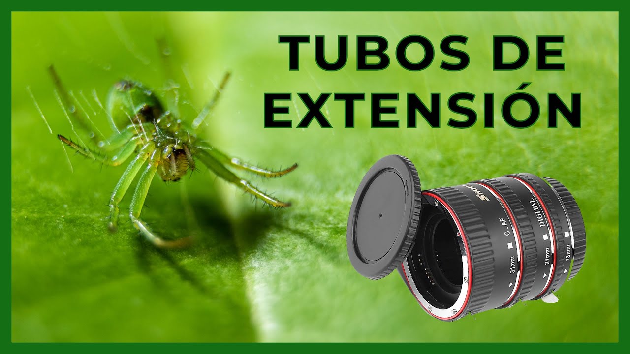 📸🕷 Fotografía MACRO con Tubos de Extensión