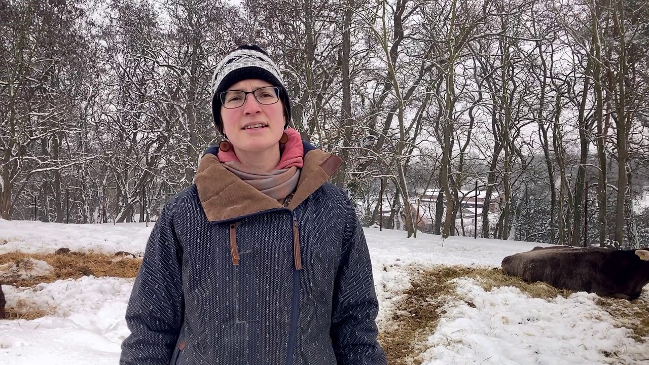 Nachhaltig: Junglandwirt*innen im Portrait. Anja Hradetzky, Hof Stolze Kuh