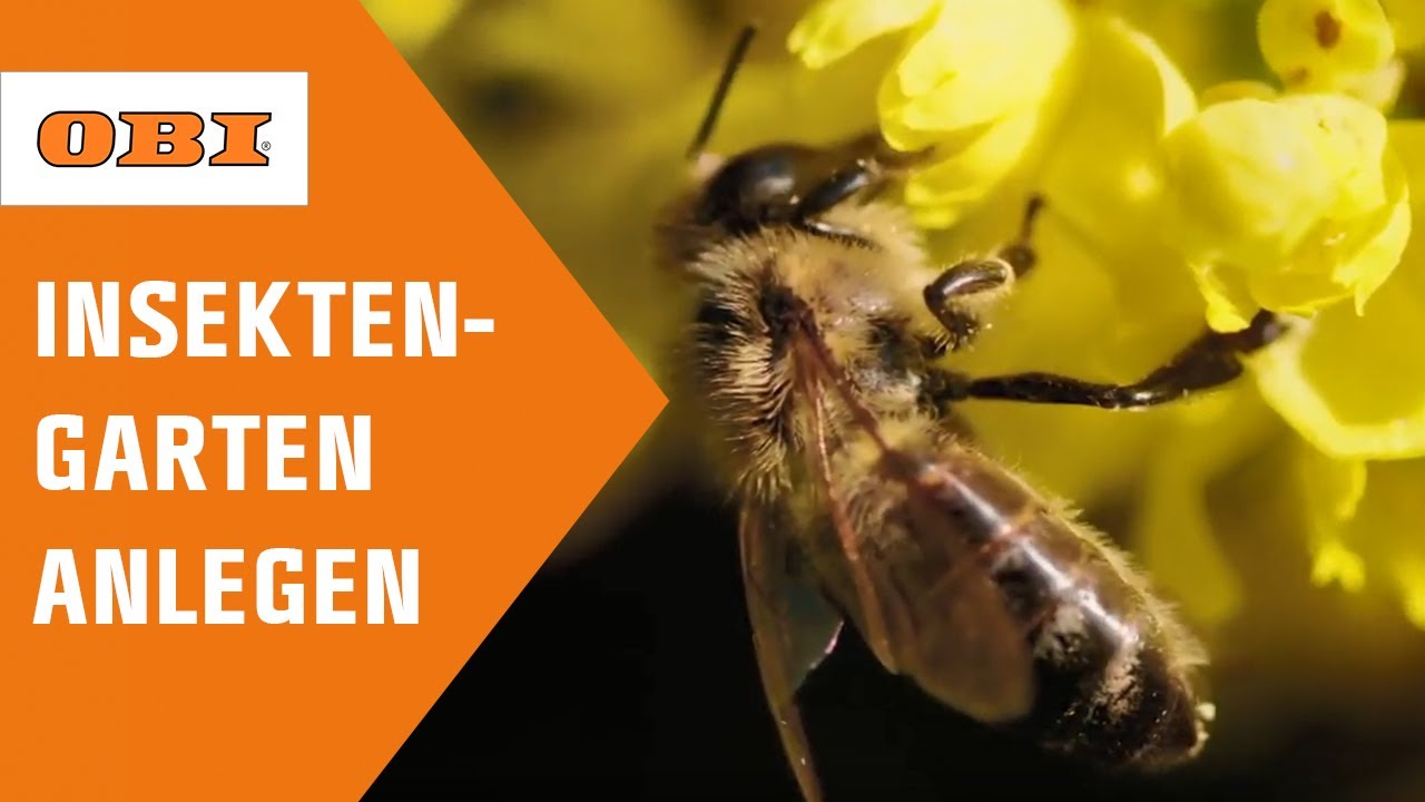 Bienen- und insektenfreundlichen Garten anlegen | Tipps vom Imker | OBI