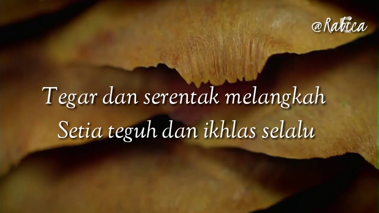 Lirik Mars Himbio FMIPA UNHAS