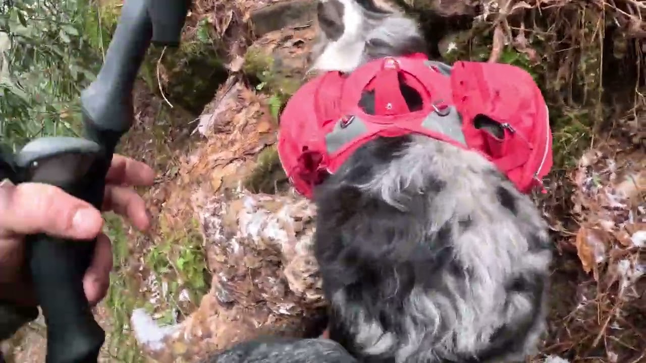 Pooch Turtle Falls, Rock Bridge and Creation Falls from Wildcat Out And Back
