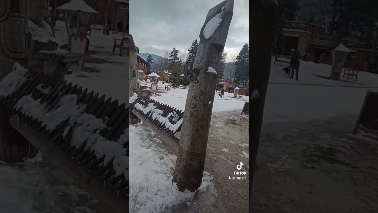 Яремче базар 20.02.2026р