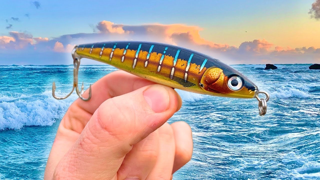 This Lure Gets SMASHED !!! (Surf Fishing Australian Salmon)