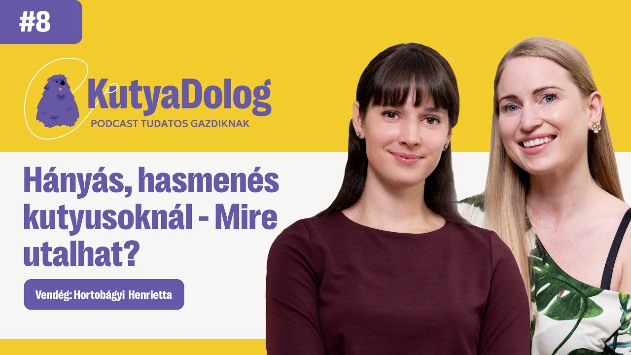 Kutya hányás és hasmenés: Mit jelent a szín és az állag? | KutyaDolog podcast #8