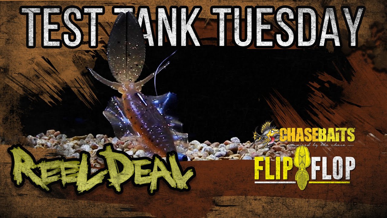 Test Tank Tuesday ChaseBaits THE FLIP FLOP EP.19