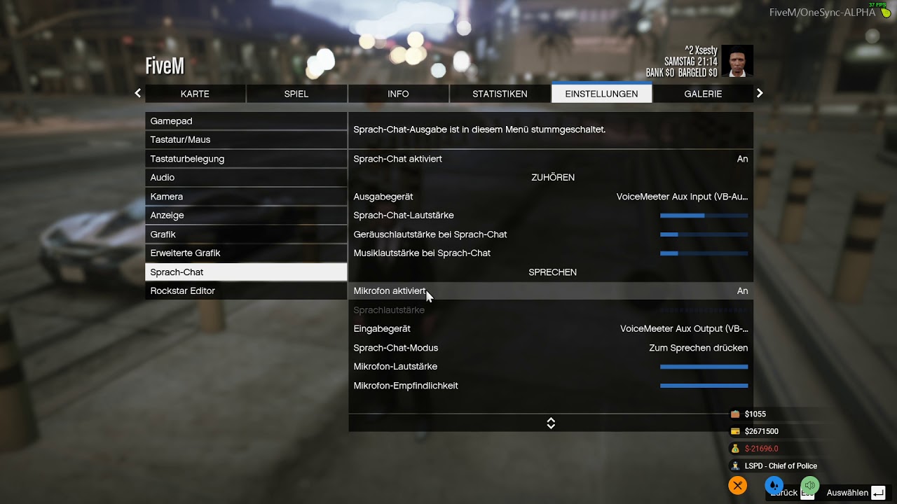 37,5er Roleplay Sprach-Chat erkl&auml;rung