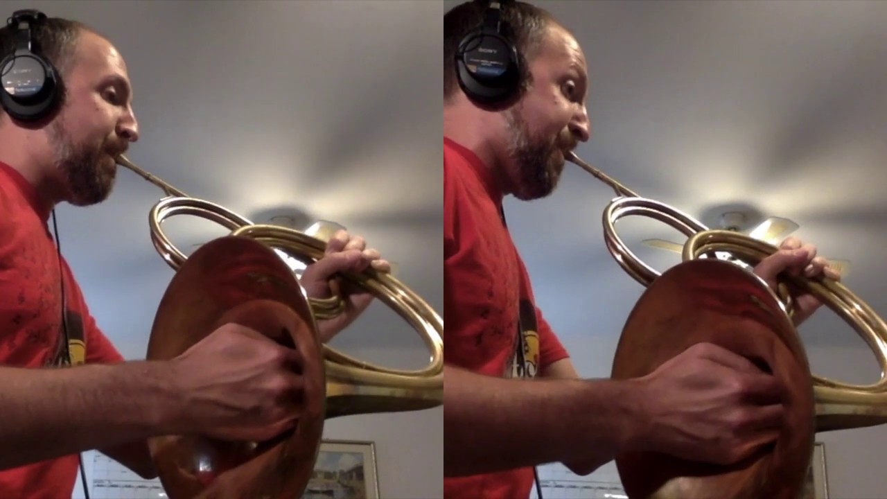 Mozart's 12 Duets, K. 487 3. Andante on natural horn