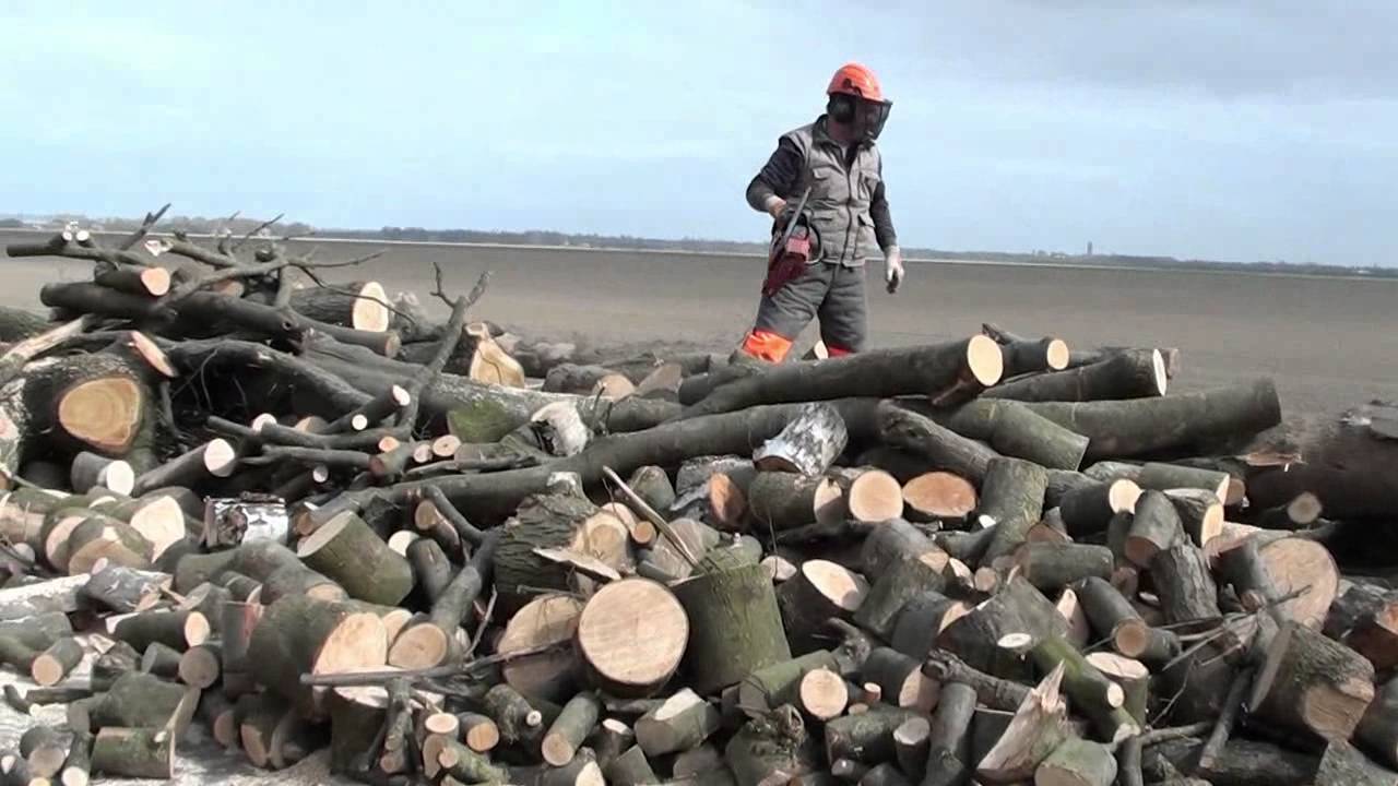 Fikkie stoken na bomen kappen
