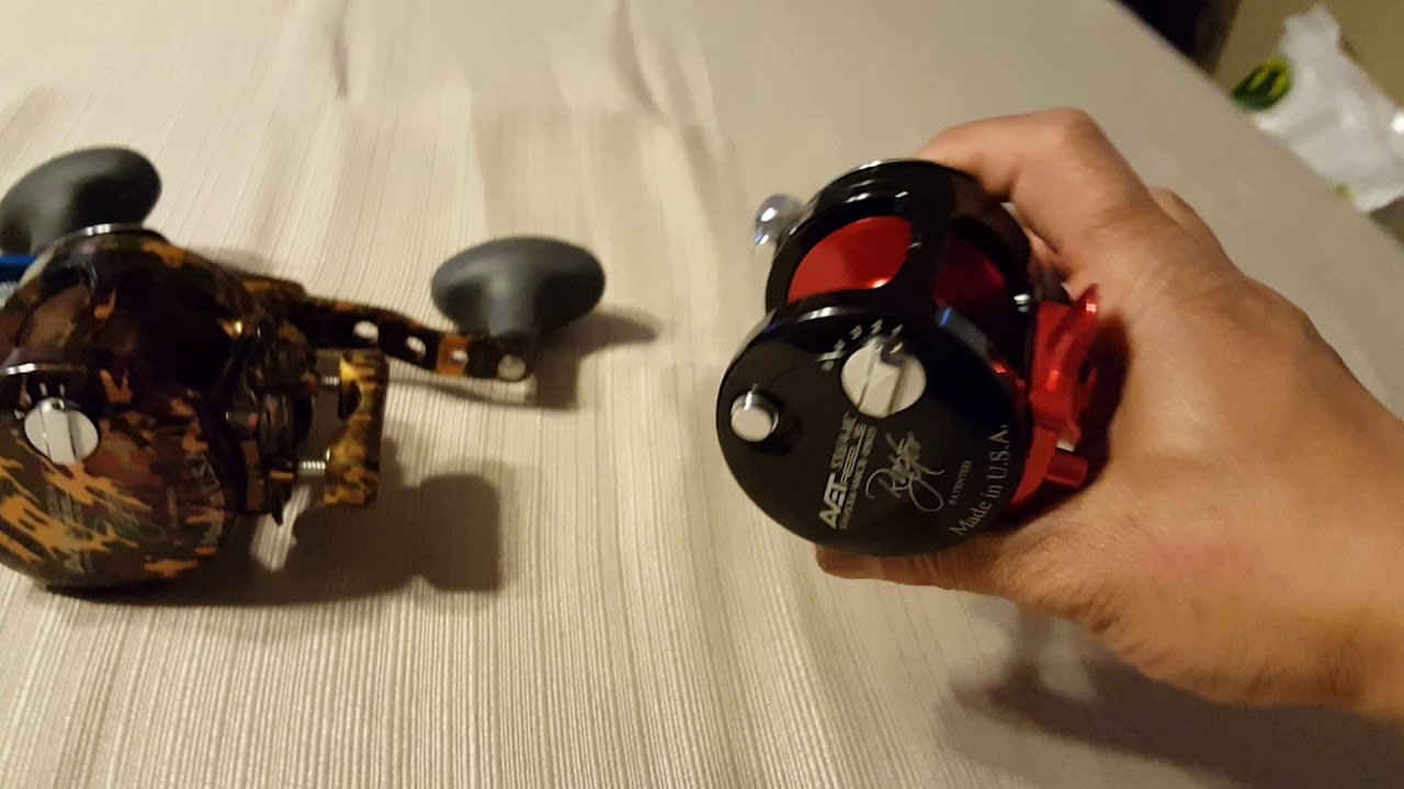 Avet Raptors