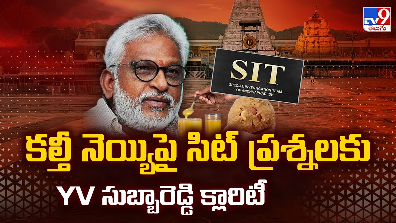 TTD Adulterated Ghee Case : కల్తీ నెయ్యిపై సిట్ ప్రశ్నలకు YV సుబ్బారెడ్డి క్లారిటీ - TV9