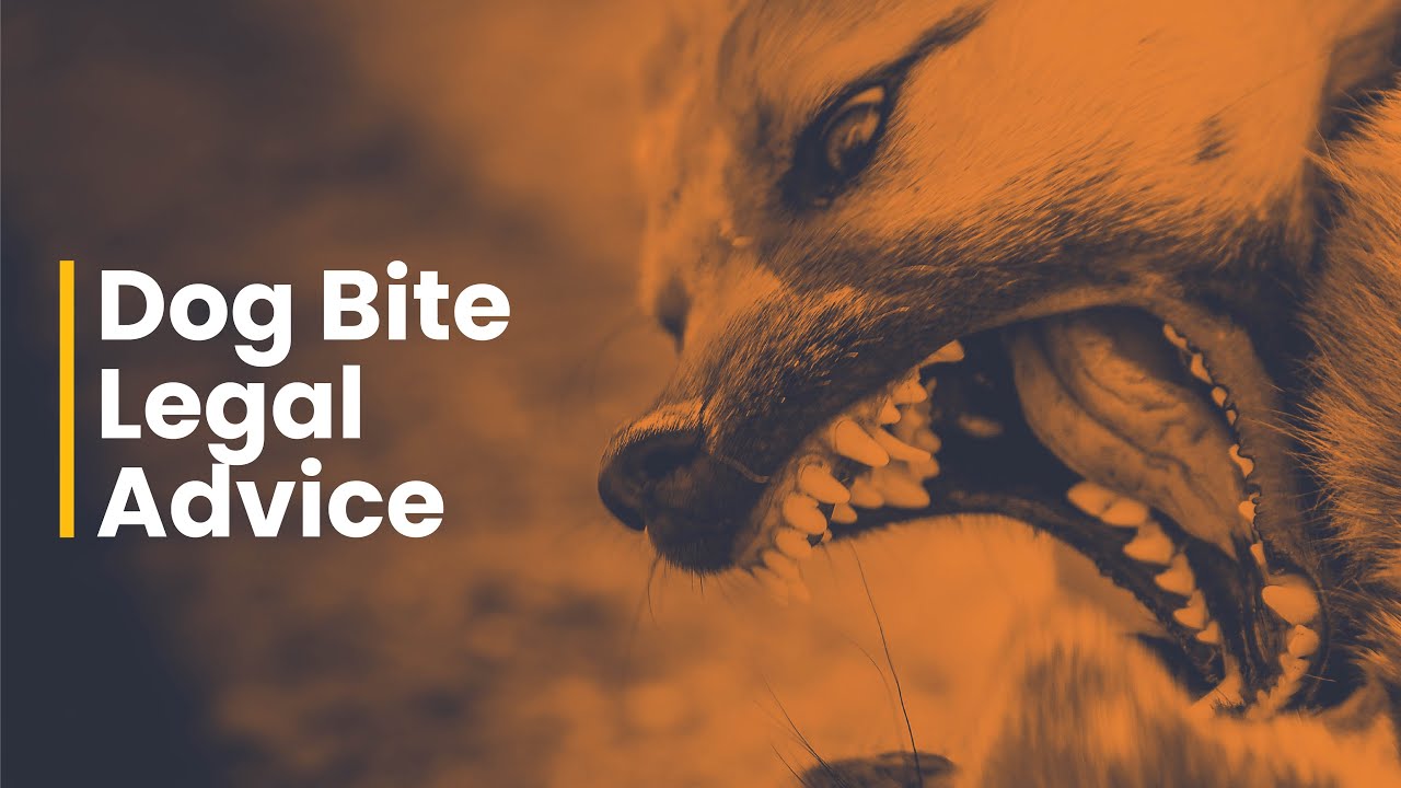 Dog Bite Legal Advice