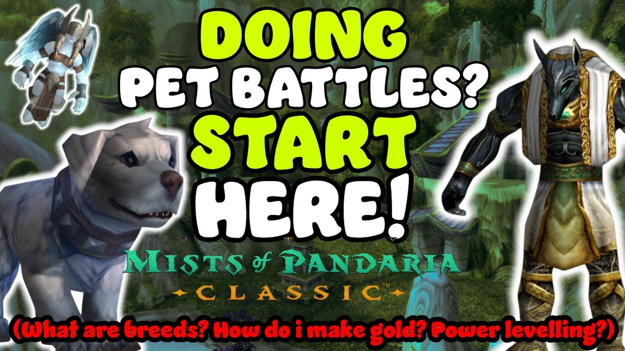 Everything from basic to advanced! Pet Battles in MoP Classic!