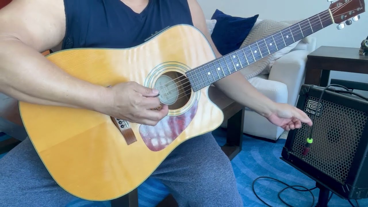 Fender DG20CE NAT acoustic guitar