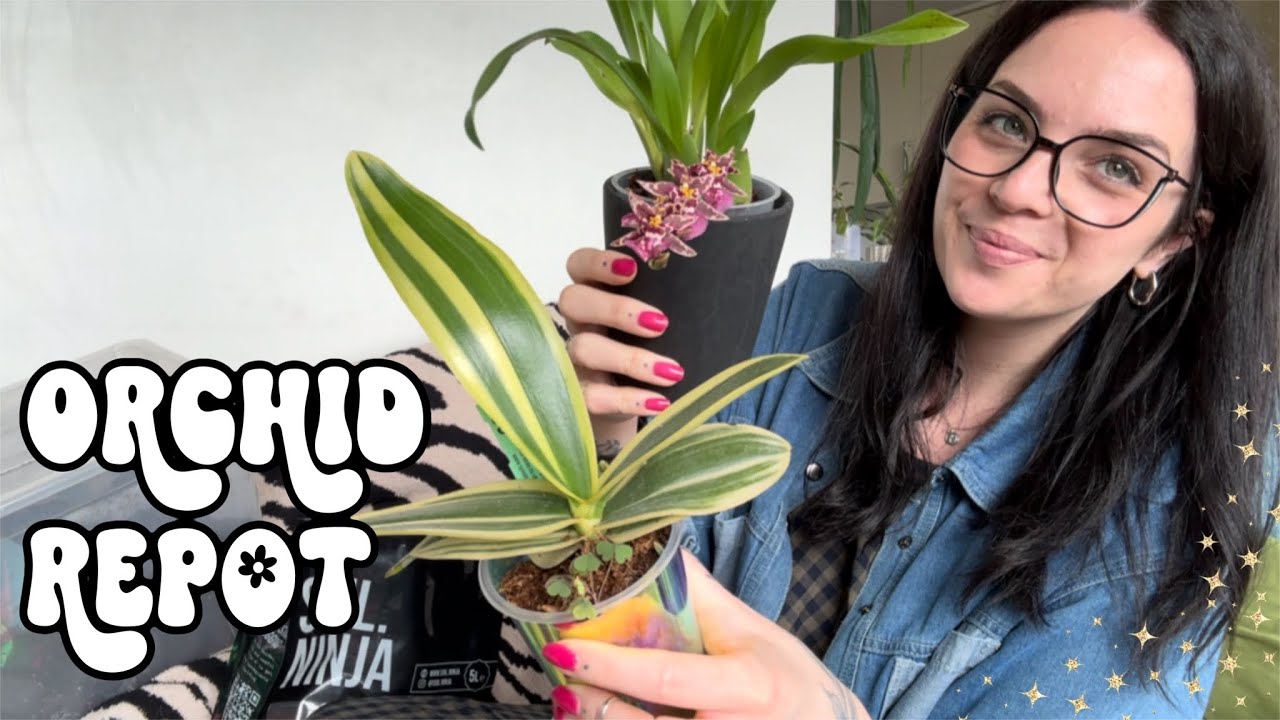 🌸 ORCHID Show & Tell 🌸 plus repot my Orchids with me 🪴