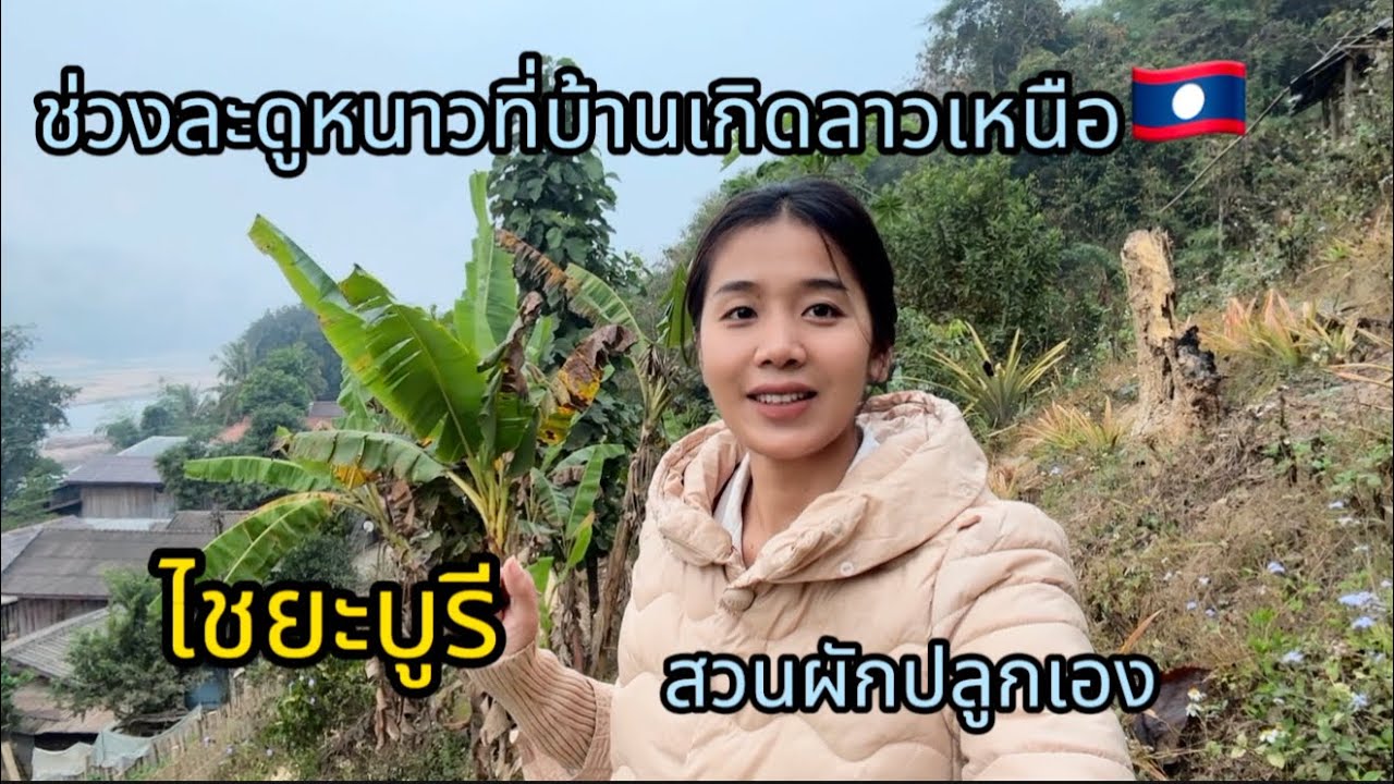 โตมาไกลแค่ไหน สวนผักบ้านเกิดยังรออยู่เสมอ สาวลาวเหนือ🇱🇦