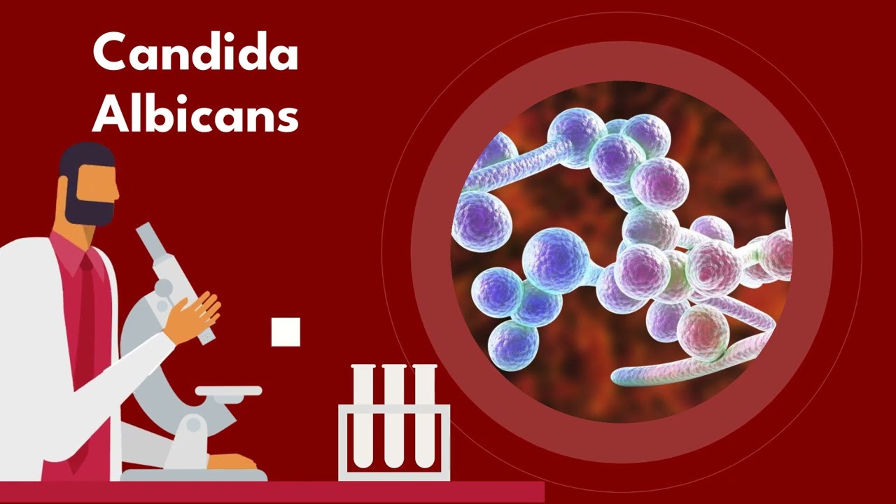 Infectious PSA Video Project (ORAL CANDIDA🙀🙀🙀🙀🙀)