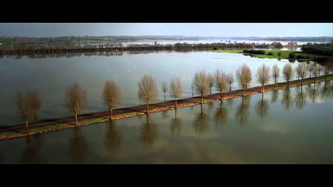 Quand les Marais sont blancs...