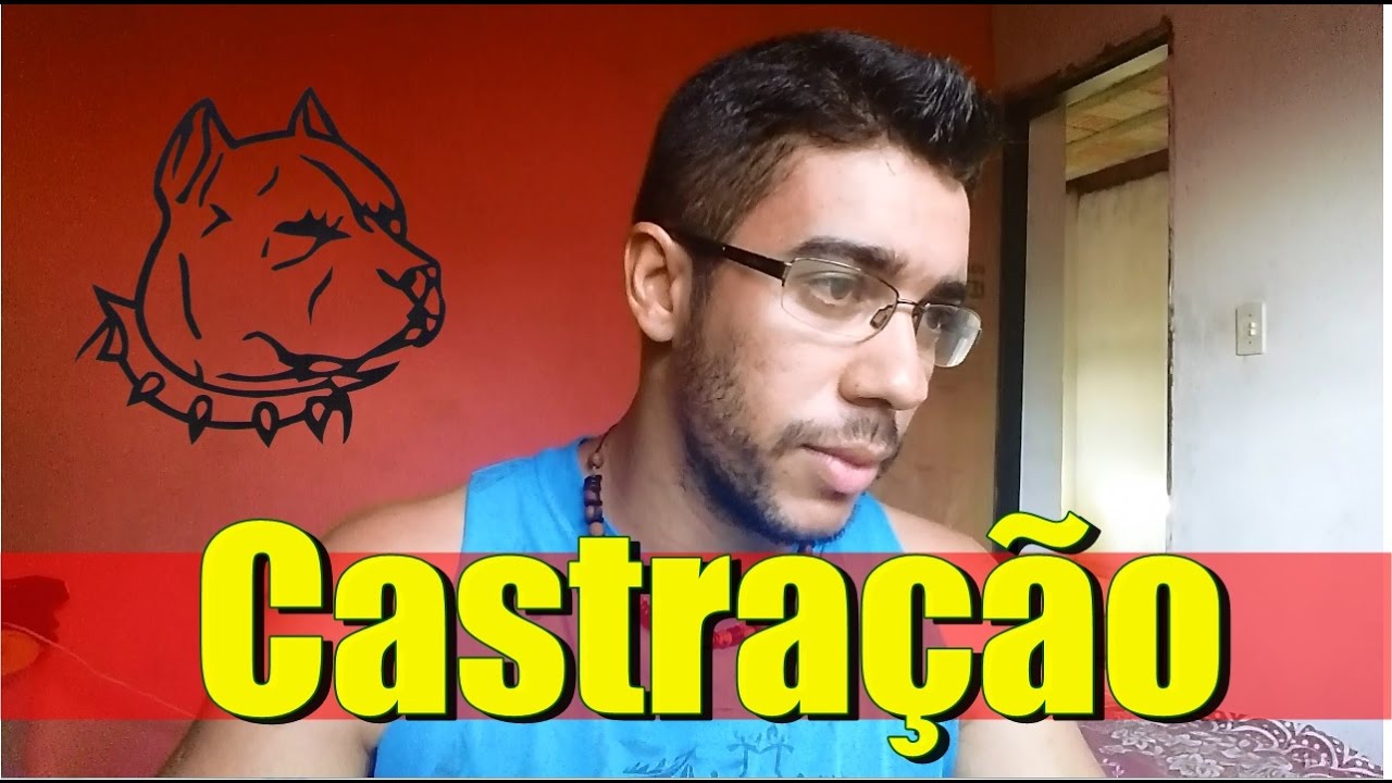 Castração Pitbull