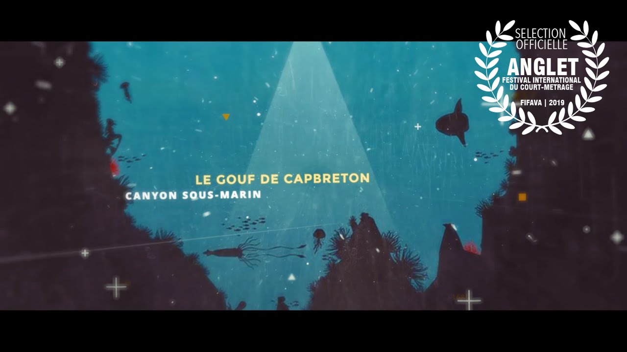 Le Gouf de CAPBRETON, Canyon Sous-Marin