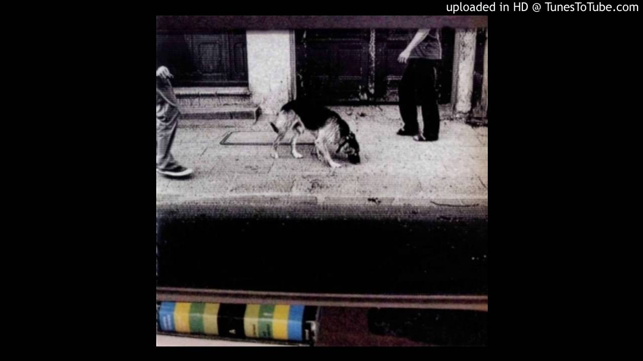 Ścianka - Białe Wakacje