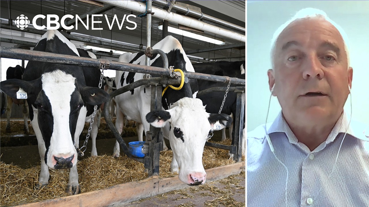 &lsquo;It just never seems to go away&rsquo;: Dairy Farmers of Canada president reacts to Trump&rsquo;s tariff threats