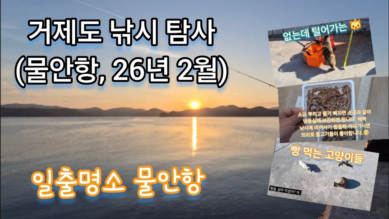 거제도 낚시 탐사(칠천도 물안항, 26년 2월)