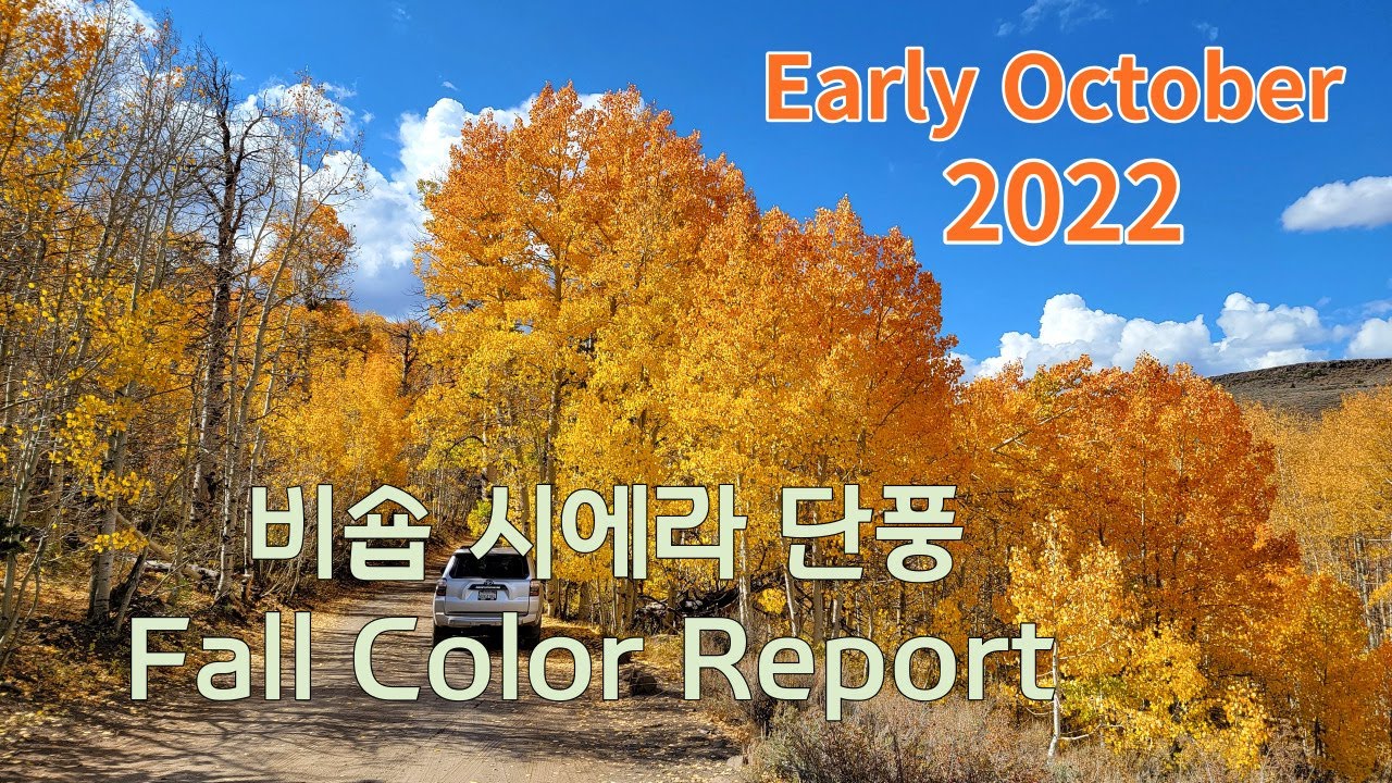 2022 Bishop Eastern Sierra Fall Color Report