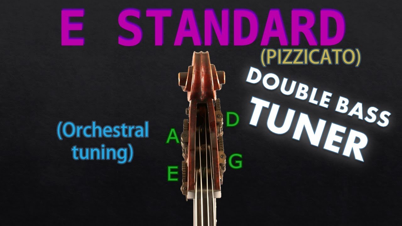 Double Bass - Standard Tuning (PIZZICATO) (Tuner)