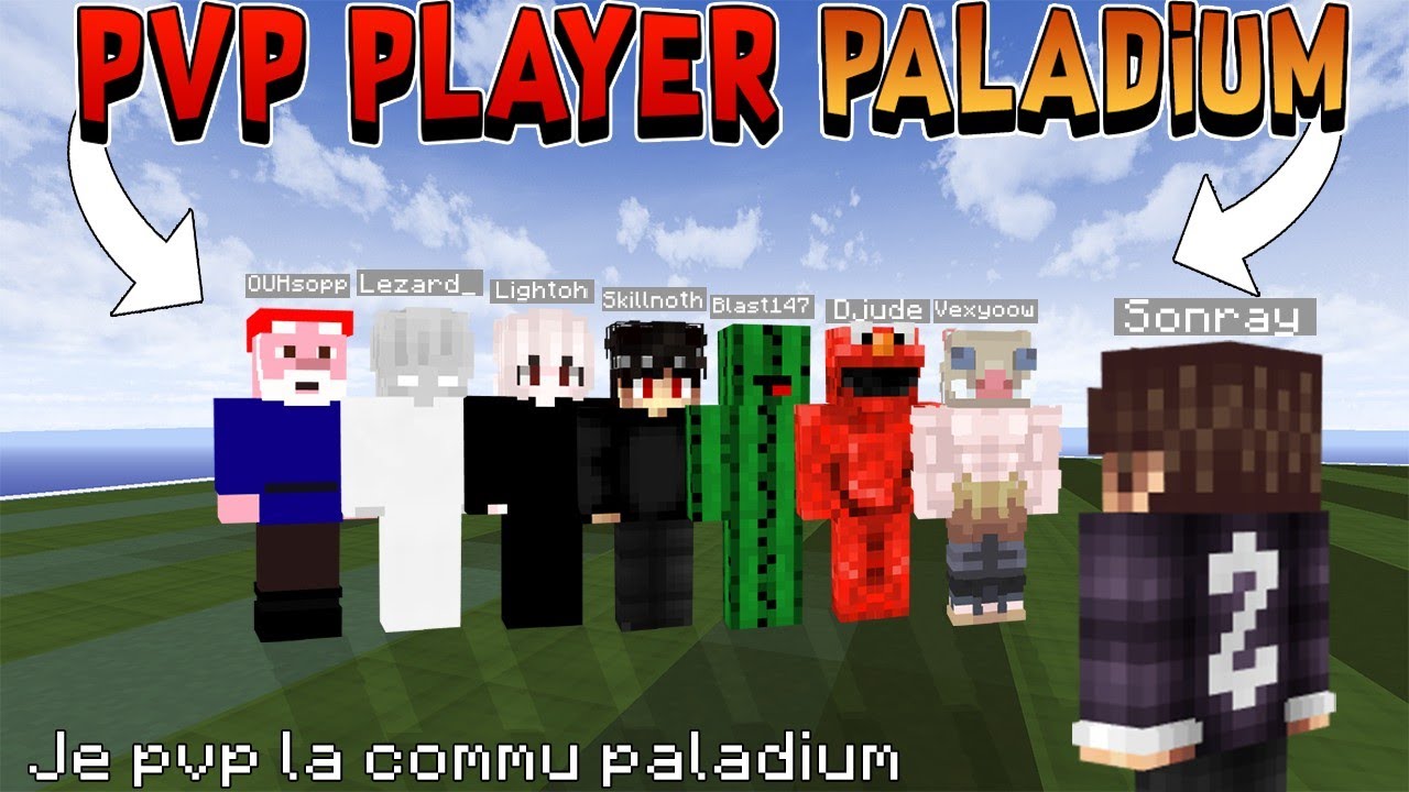 JE PVP LA COMMU PALADIUM SUR MINEMEN !