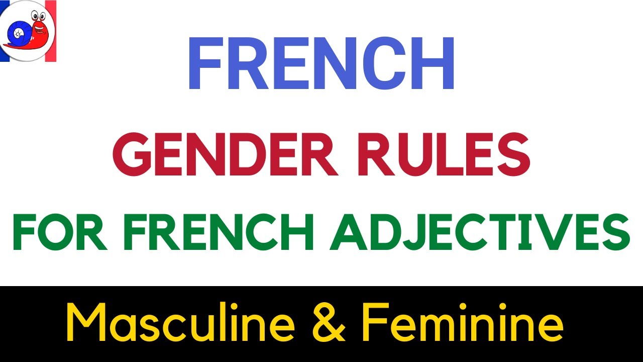 French Adjectives Gender rules - Masculine and Feminine