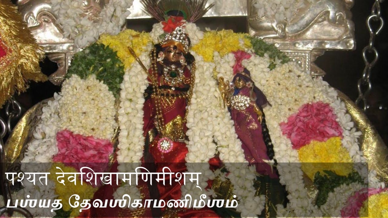 42 Pashyata Deva Shikamanimeesham | Kolahalan Kriti Composed by Sri Sri Krishnapremi Swamigal