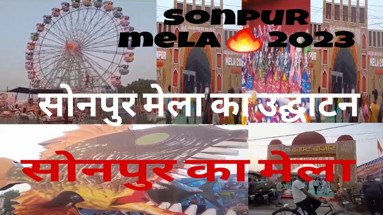 Sonpur Mela 2023 ll  Sonpur mela animal Market  l Sonpur mela live 