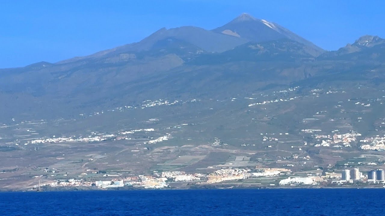 Wale und Delfine vor Teneriffa.