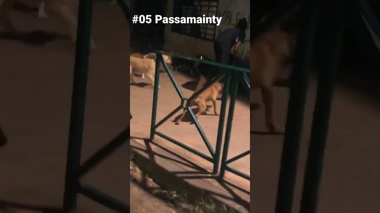 🩸🔥🔥🔥#05