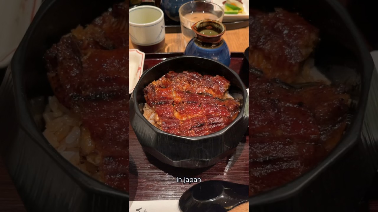 $6 vs $150 GRILLED EEL in #japan