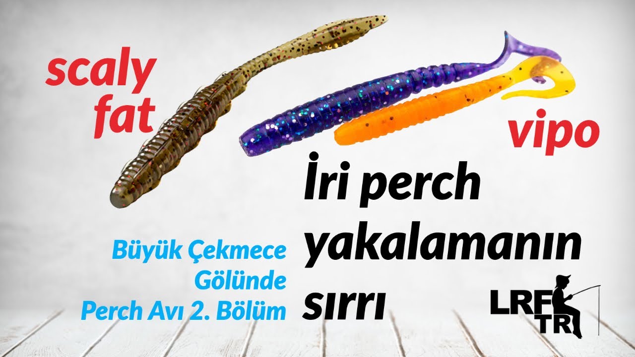 LRF İle Büyük Tatlı Su Levreği Nasıl Avlanır? - Shimano Bassterra 1-11 ile ava devam